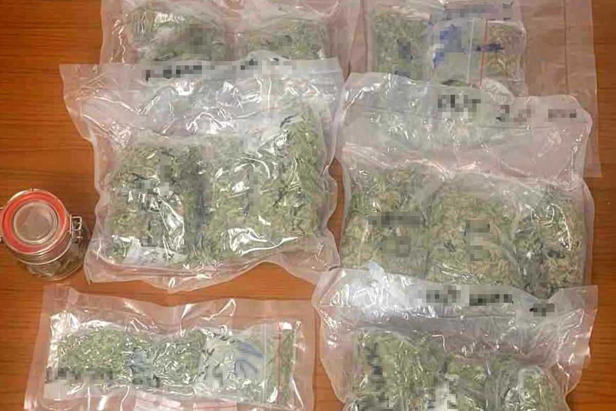 Marihuana ujawniona u kierowcy Hondy