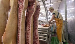 32 osoby bez wypłaty. Zatrudniający ich Palestyńczyk zniknął bez śladu