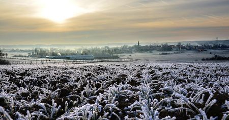 Temperatury spadną poniżej zera. Zapowiedziano kiedy