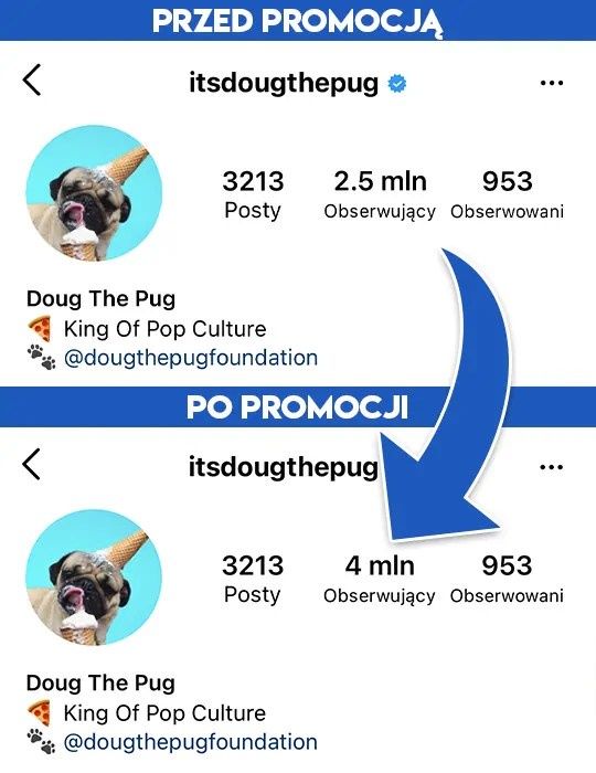 Kup Instagram Followers na Wypromowani.pl