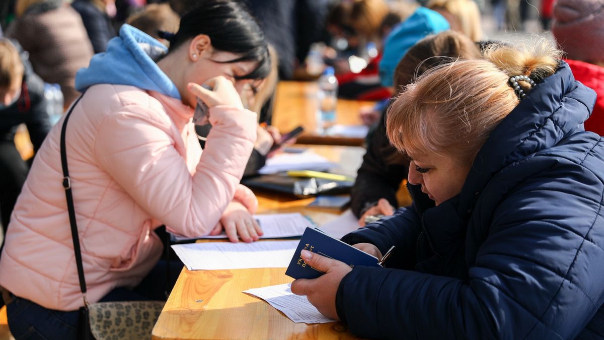 Ukraińcy przed znalezieniem pracy w Polsce załatwiają formalności i wyrabiają numery PESEL