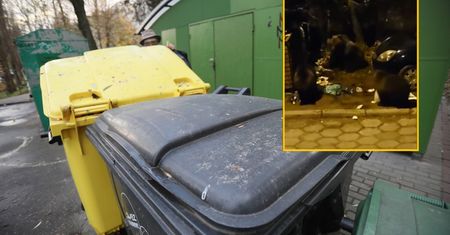 Mieszkańcy przerażeni. Oto co kobieta znalazła przy śmietniku