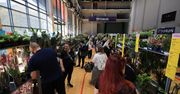 Festiwal roślin w Arenie Toruń. Mnóstwo kwiatów na wiosnę