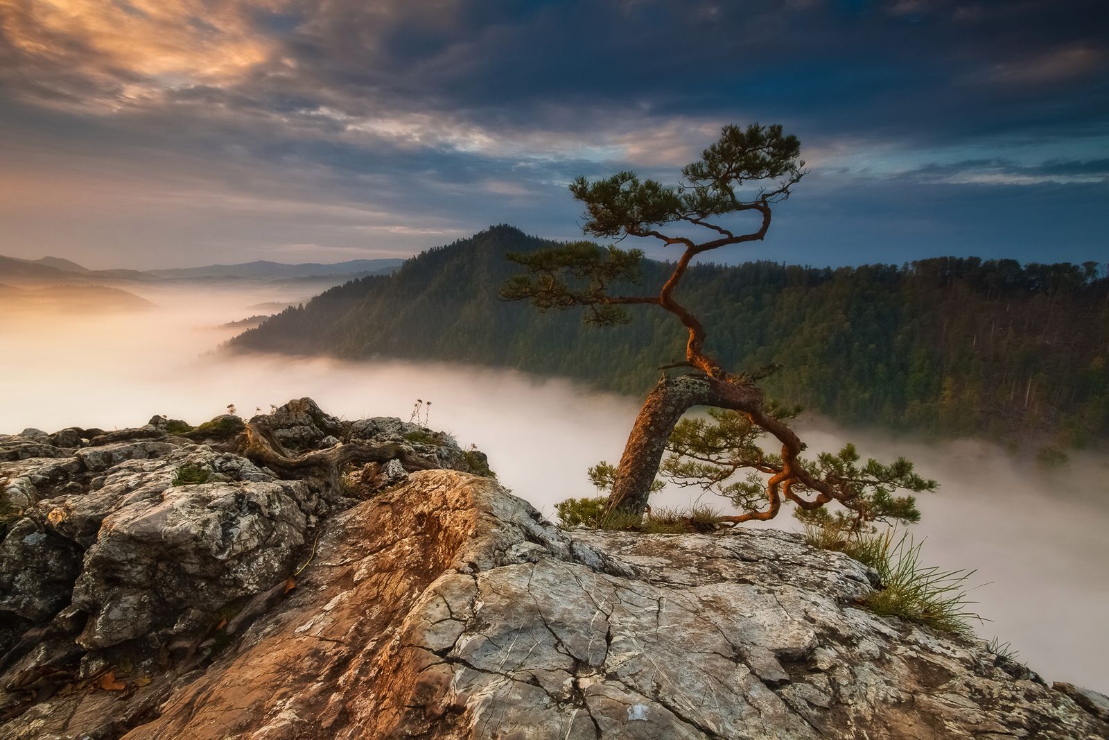 Przegląd warsztatów fotograficznych w Studiu Huśtawka [kwiecień 2016] 12