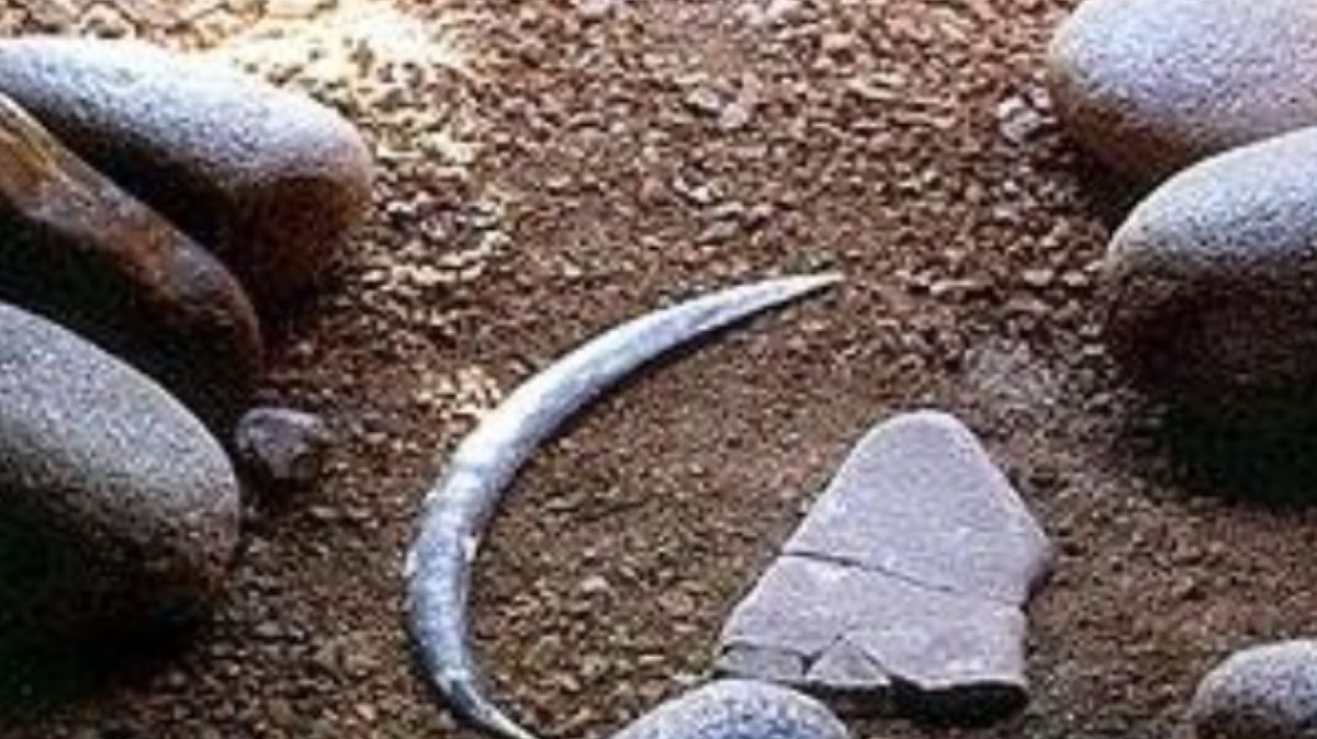 Bumerang z Jaskini Obłazowej