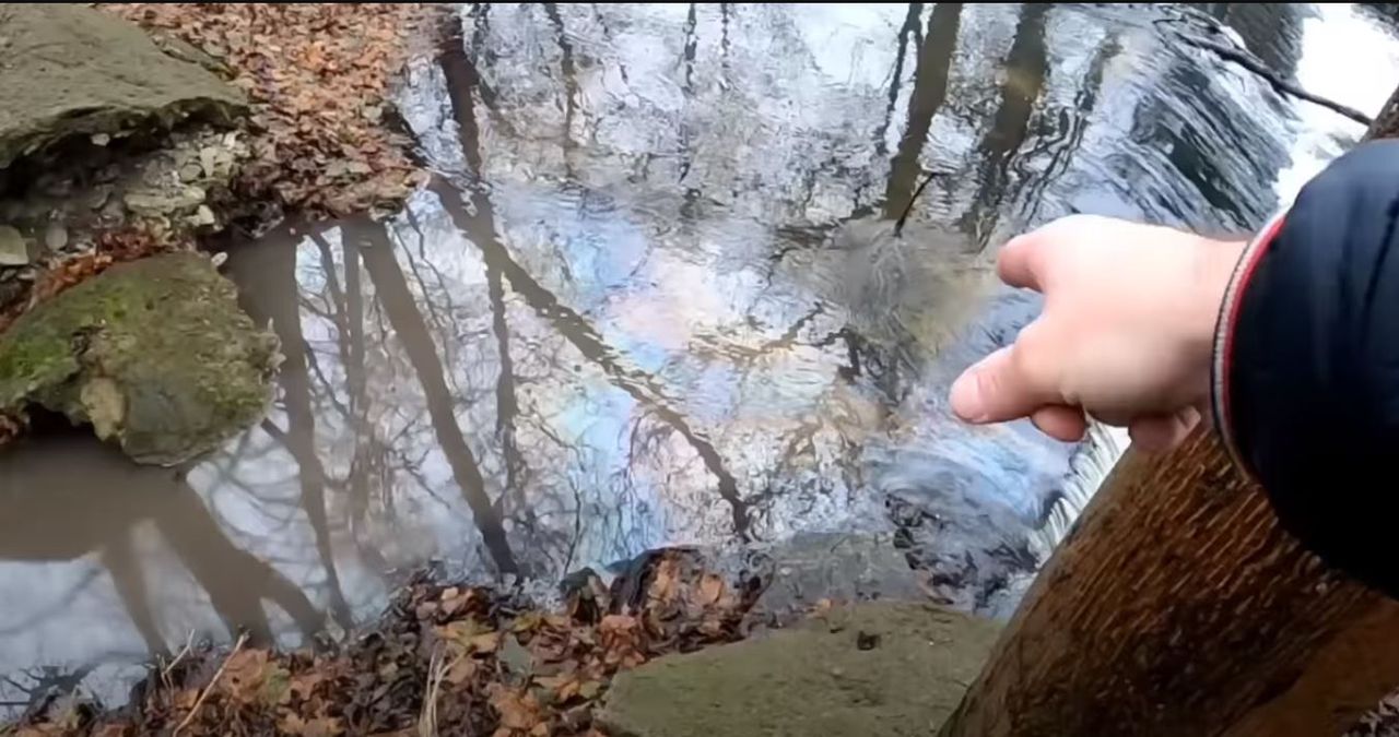 Rzeka została zanieczyszczona.
