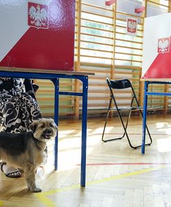 Wybory prezydenckie na Pomorzu. Oto sondaż exit poll