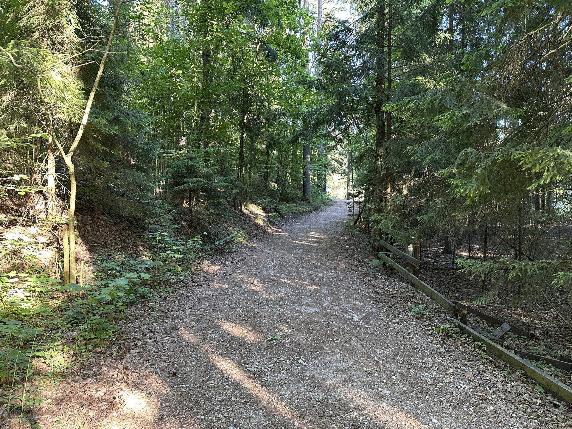 Wigierski Park Narodowy - ścieżka Las i Suchary