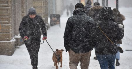 Pogoda na luty. Nadciąga atak zimy? Mamy najnowszą prognozę