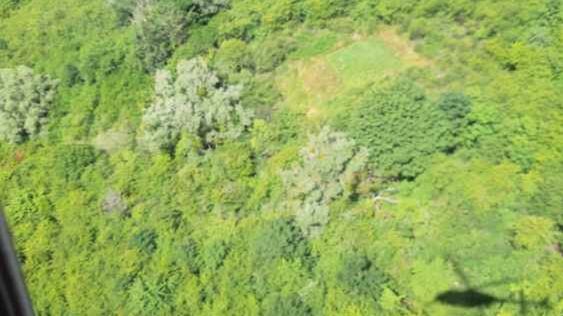 Nielegalną plantację konopi dostrzeżono ze śmigłowca
