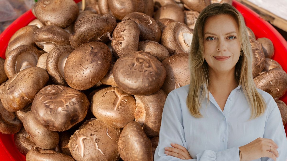Jak grzyby mogą wspierać nasze zdrowie? Na zdjęciu prof. Karolina Jakubczyk