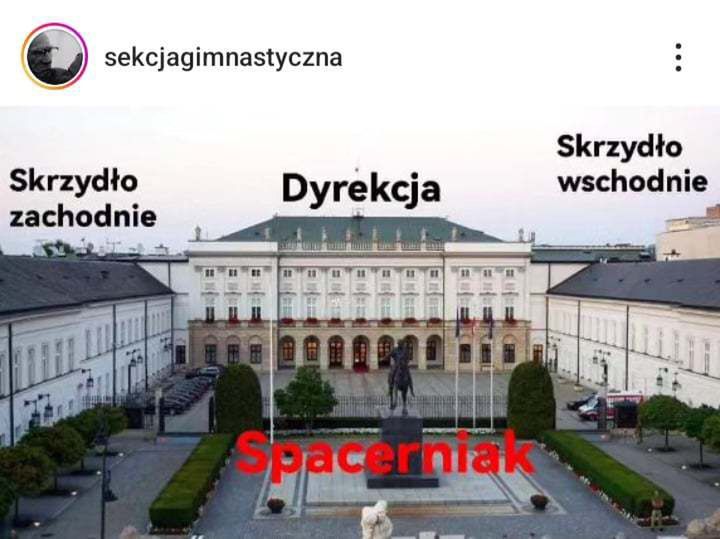 Memy o Kamińskim i Wąsiku