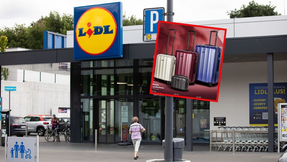 Produkty Wittchen wracają do Lidla