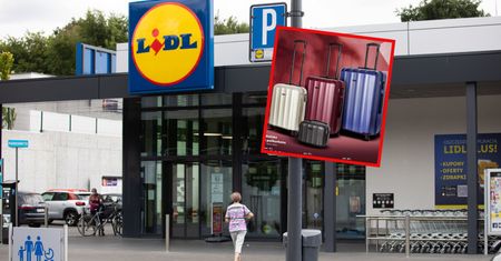 Polacy bili się o te produkty w Lidlu. Wróciły do sklepów