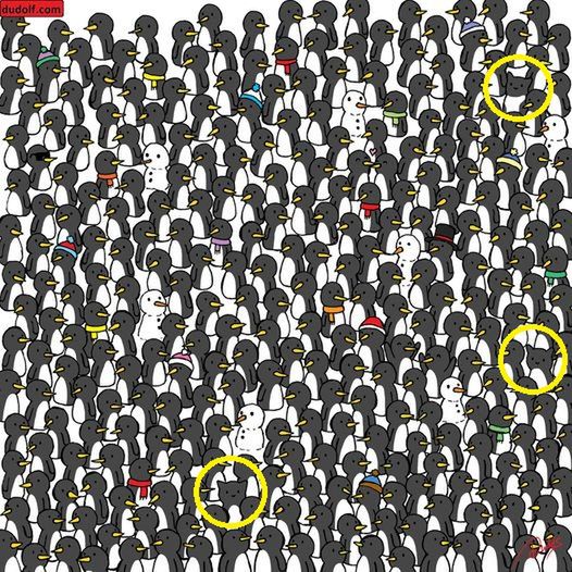 Koniecznie daj znać jak ci poszło