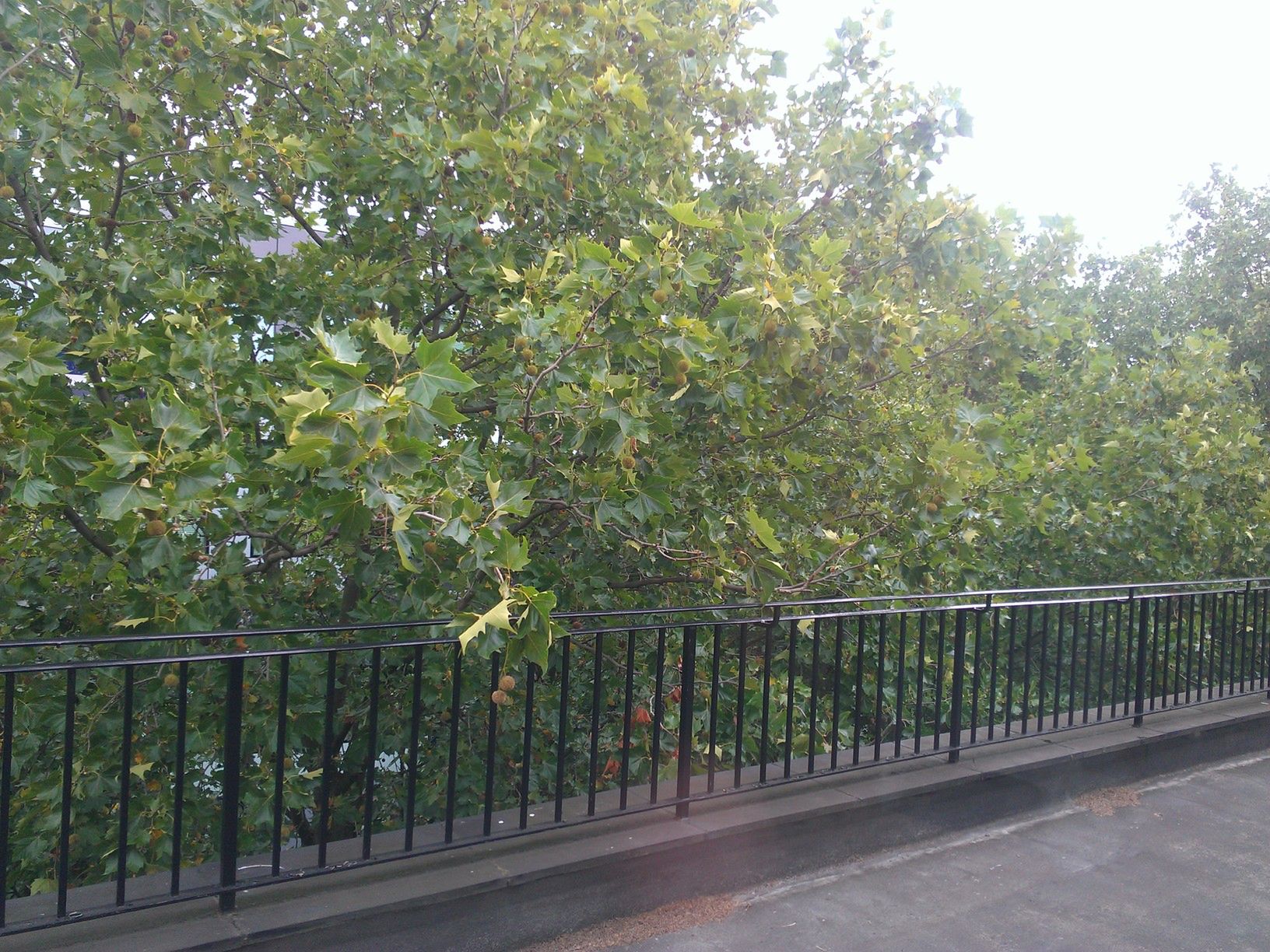 HTC wreszcie z dobrym aparatem, czyli jakie zdjęcia robi TITAN 4