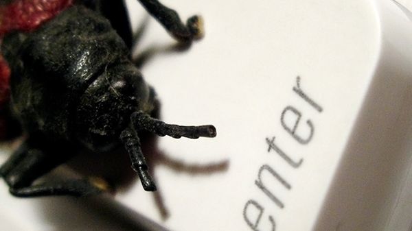 Serwis Torrentreactor rozpowszechnia złośliwe oprogramowanie 1