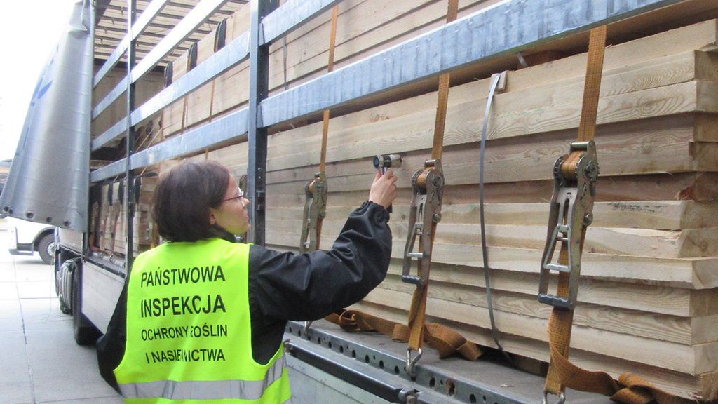 PIORiN odpowiada za bezpieczeństwo fitosanitarne na granicy z Ukrainą