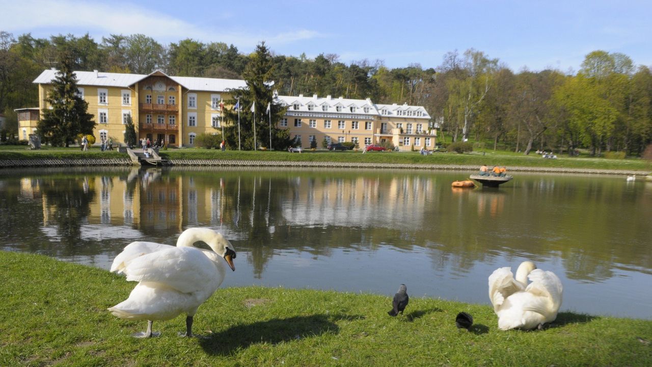 "Żal było odjeżdżać". Aktualny ranking 31 najlepszych sanatoriów na NFZ. Sprawdź, co mówią o nich pacjenci