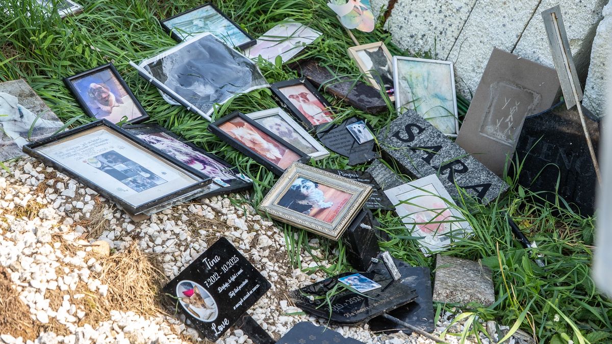 Porozrzucane tabliczki na cmentarzu dla zwierząt w Pile