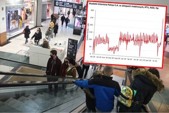 Galerie handlowe otwarte. Polacy szturmowali sklepy z meblami, sprzętem i ubraniami