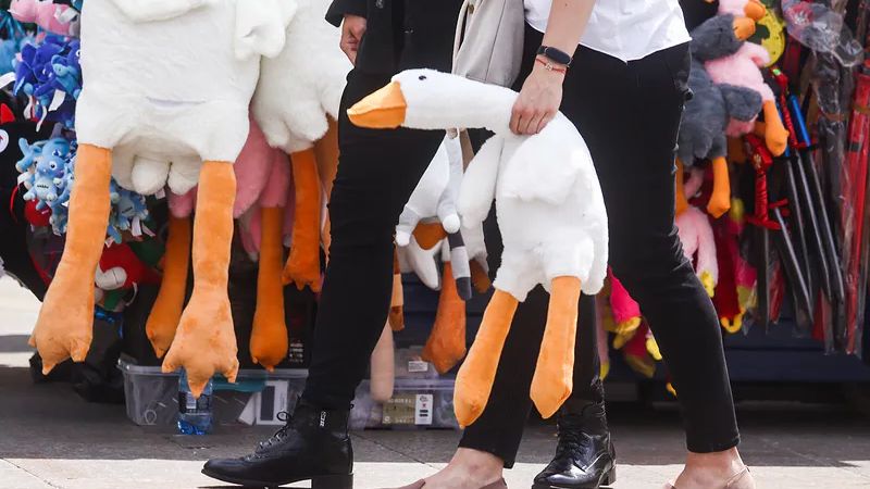 Pluszowa gęś Pipa to największa atrakcja na straganach w całej Polsce