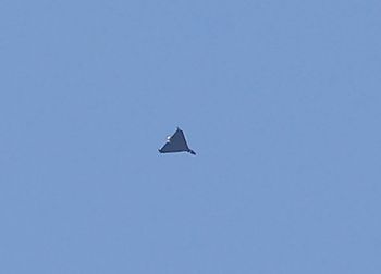 Rosyjski dron wleciał w nocy do Polski? Rzecznik DORSZ reaguje
