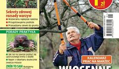 Nowy miesięcznik ogrodniczy Wydawnictwa Bauer „100 Rad. Moja piękna działka”