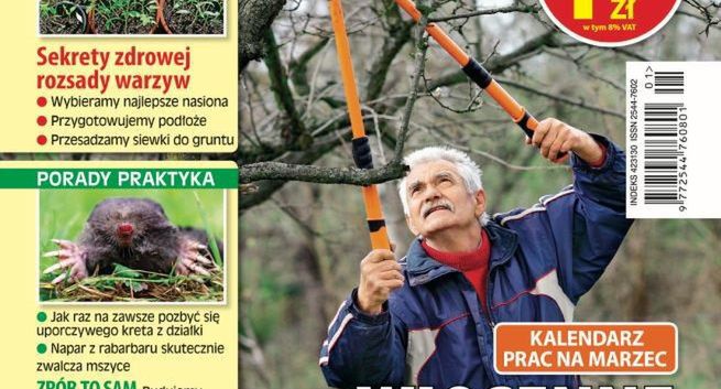 Nowy miesięcznik ogrodniczy Wydawnictwa Bauer „100 Rad. Moja piękna działka”