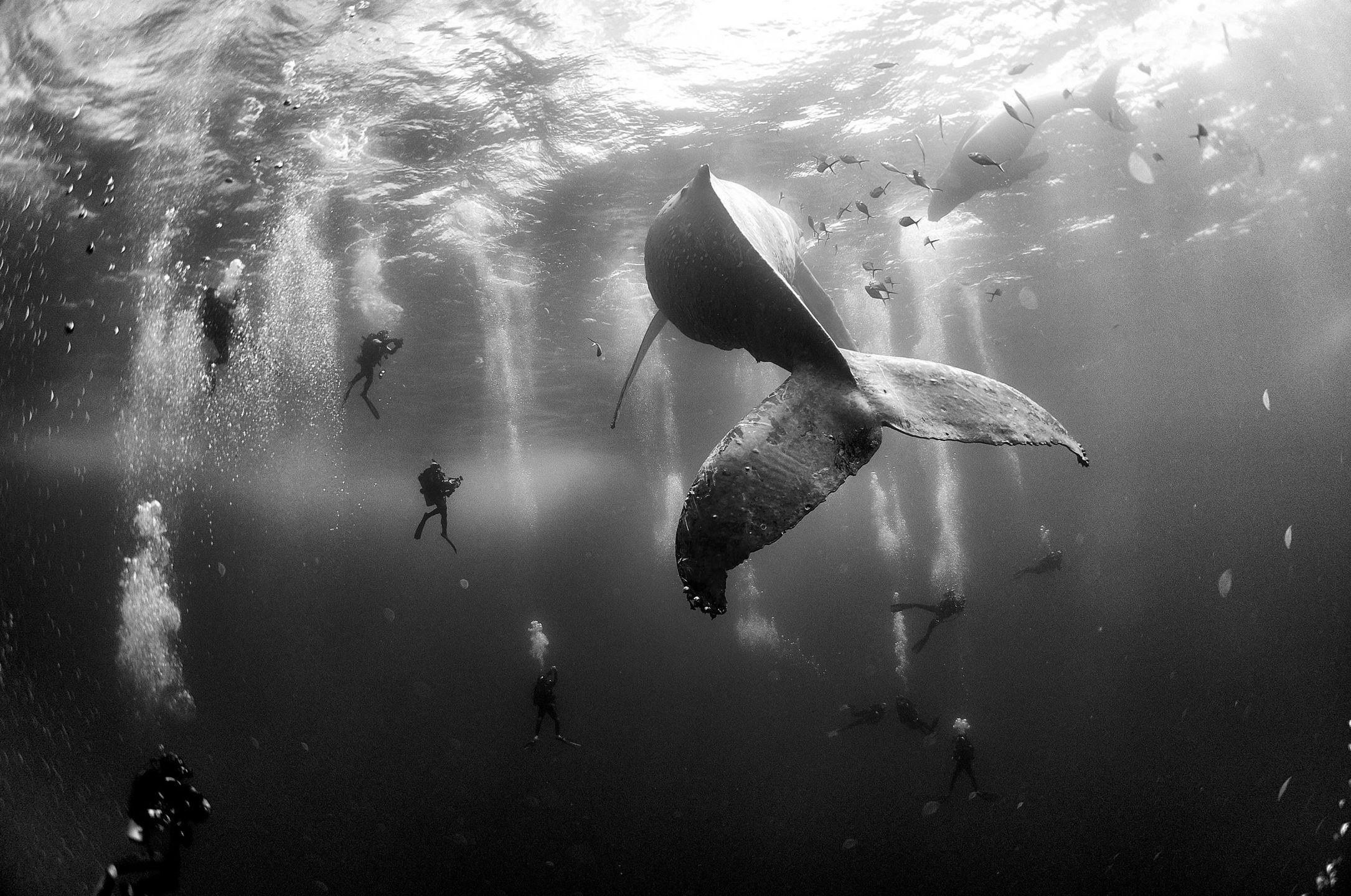 Znamy wyniki World Press Photo 2015. Oto najlepsze fotografie prasowe minionego roku 24