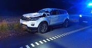 Zderzenie z łosiem na S22. Strażacy apelują o ostrożność