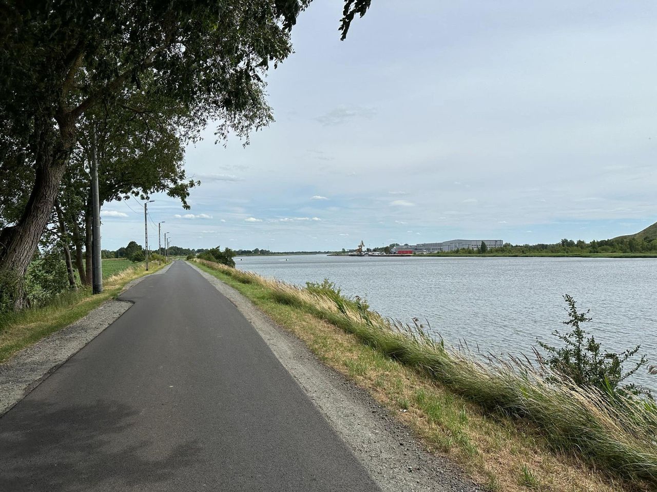 Szlak rowerowy na Wyspie Sobieszewskiej. To 30-kilometrowa pętla