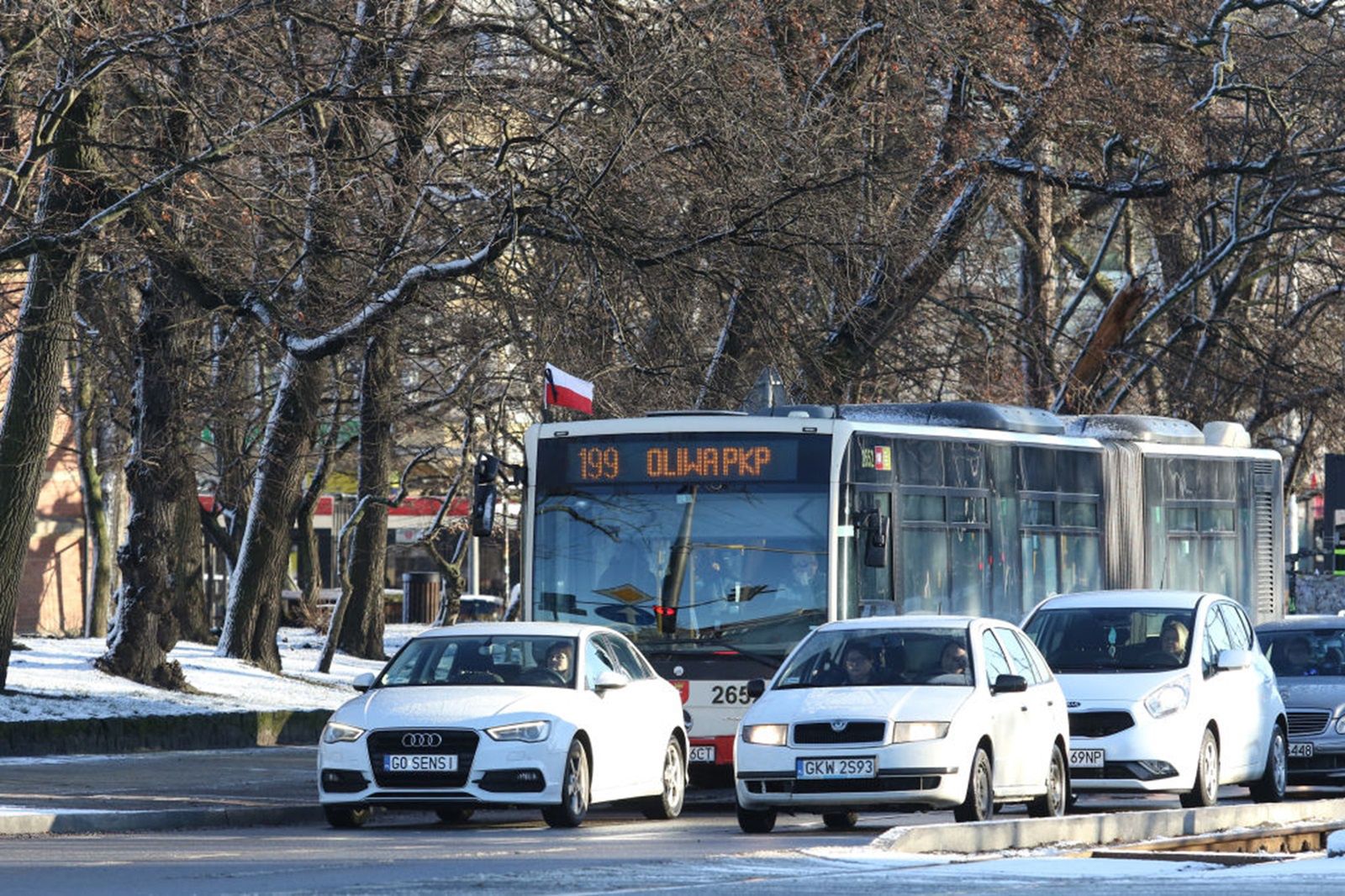 Chciała przewieźć półkę i szynę autobusem miejskim. Została wyproszona