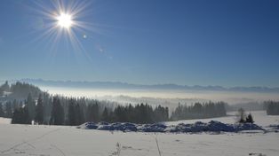 Nowy Targ: Miasto wciąż dusi się smogiem. Drugie miejsce w niechlubnym rankingu