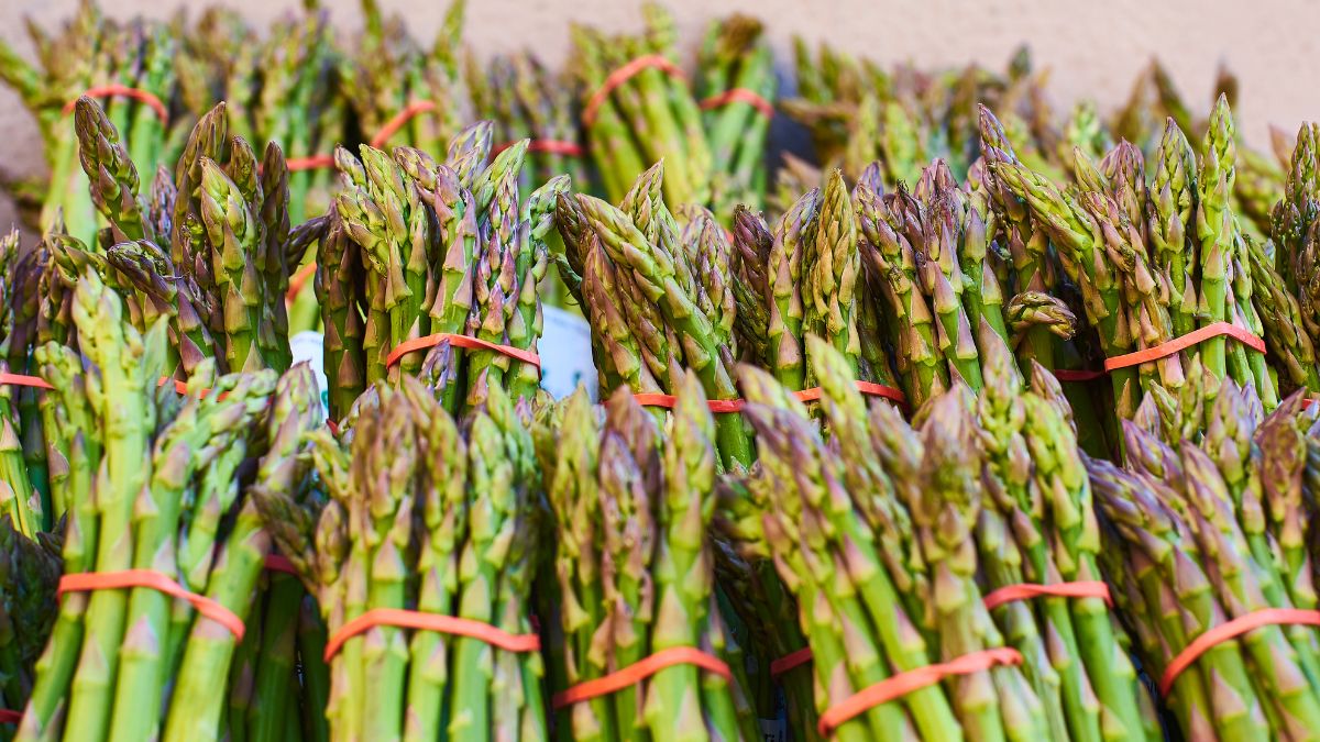 Szparagi już w sklepach. Ceny? Porażające