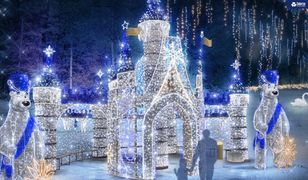 Zabrze. Świetlna atrakcja, Kąpielisko Leśne rozbłyśnie milionami lampek