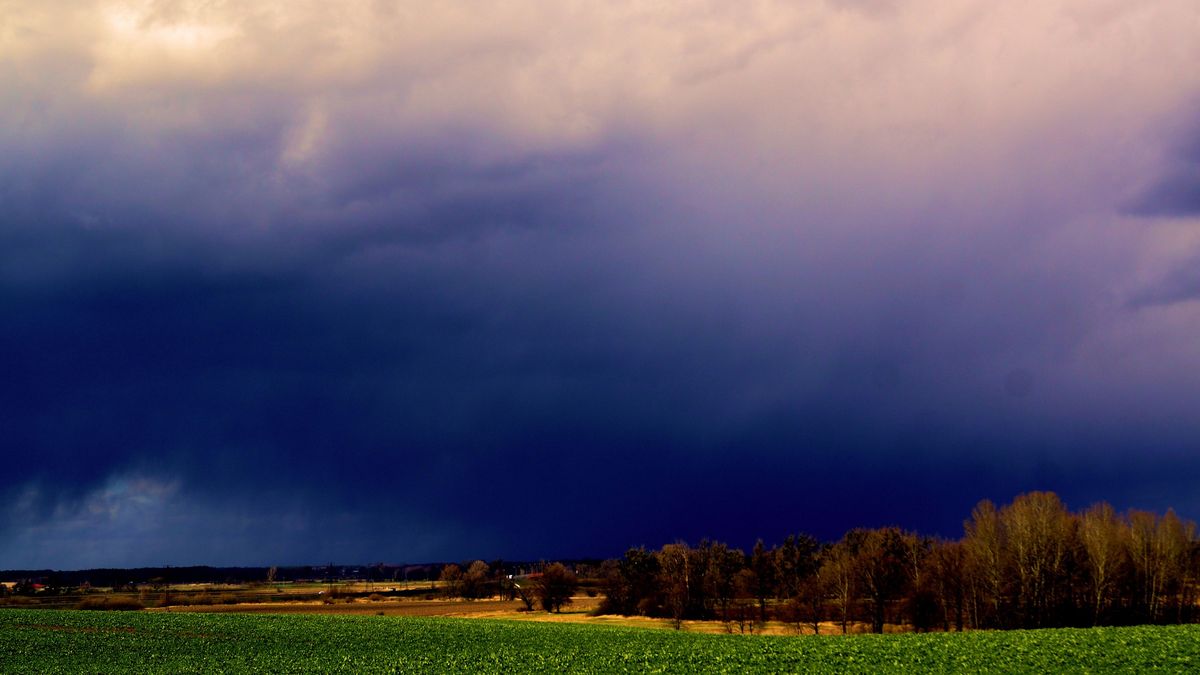 Burze zdemolowały uprawy 