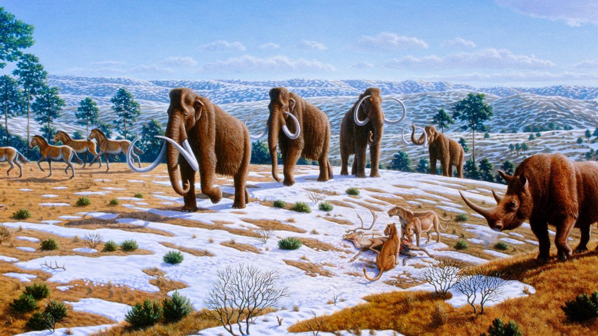 Ice age fauna of northern Spain - Mauricio Antón