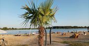 1 maja spotykamy się nad zamojskim zalewem. Tam zaplanowano Majową Strefę Sportu i Rekreacji