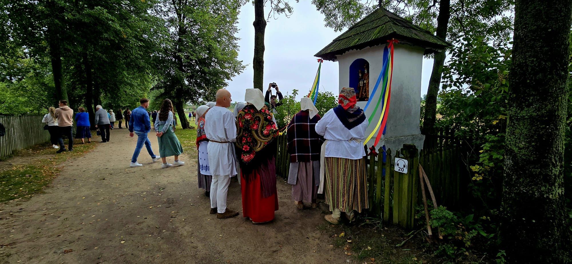 Wykopki 