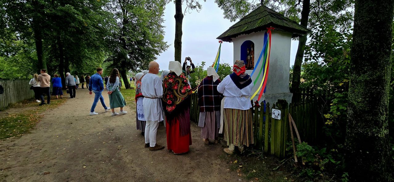 Wykopki 