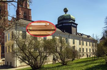 Nieoczekiwana popularność jednego eksponatu. Stał się wielką atrakcją turystyczną