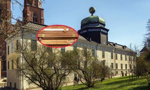 Nieoczekiwana popularność jednego eksponatu. Stał się wielką atrakcją turystyczną