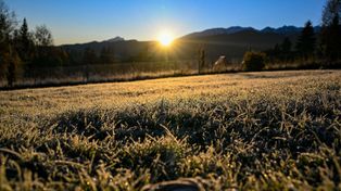 Przymrozki w nocy. IMGW ostrzega przed chłodem. Jak długo będzie zimno? Pogoda na czwartek 9 kwietnia 2026