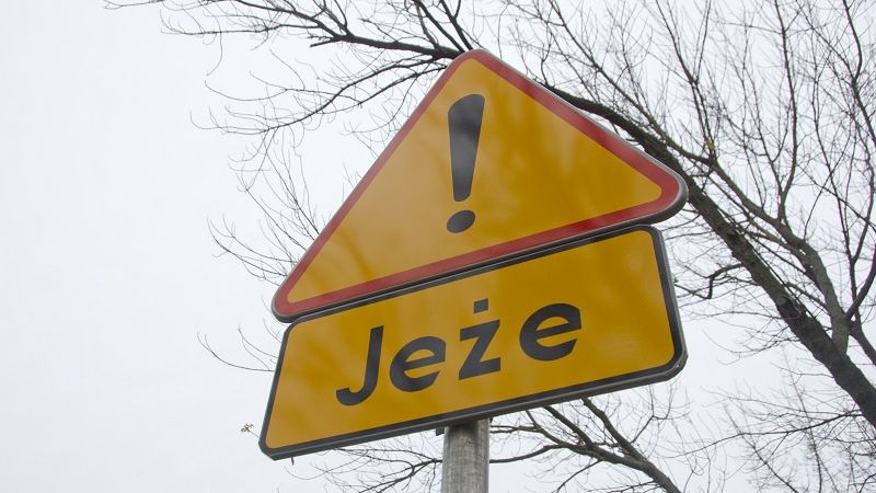 Znak ostrzegający o jeżac