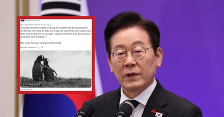 Prezydent Korei Płd. proponuje spotkanie Kimowi. Dołączył zdjęcie pingwinów