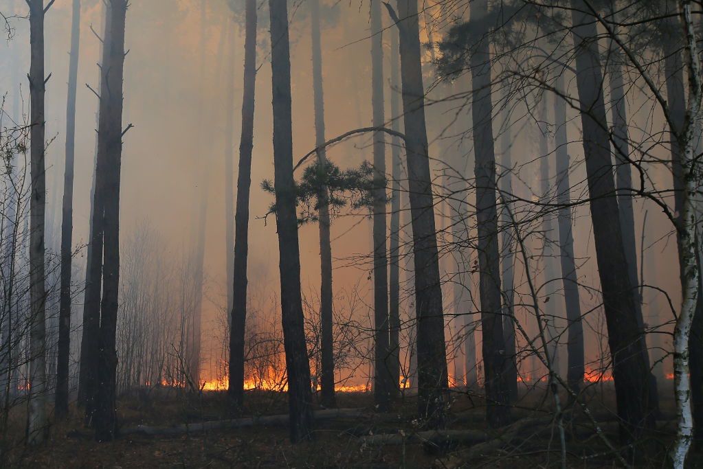 Czarnobyl: Pożar lasów widziany z nieba. Zobacz niezwykłe zdjęcia satelitarne