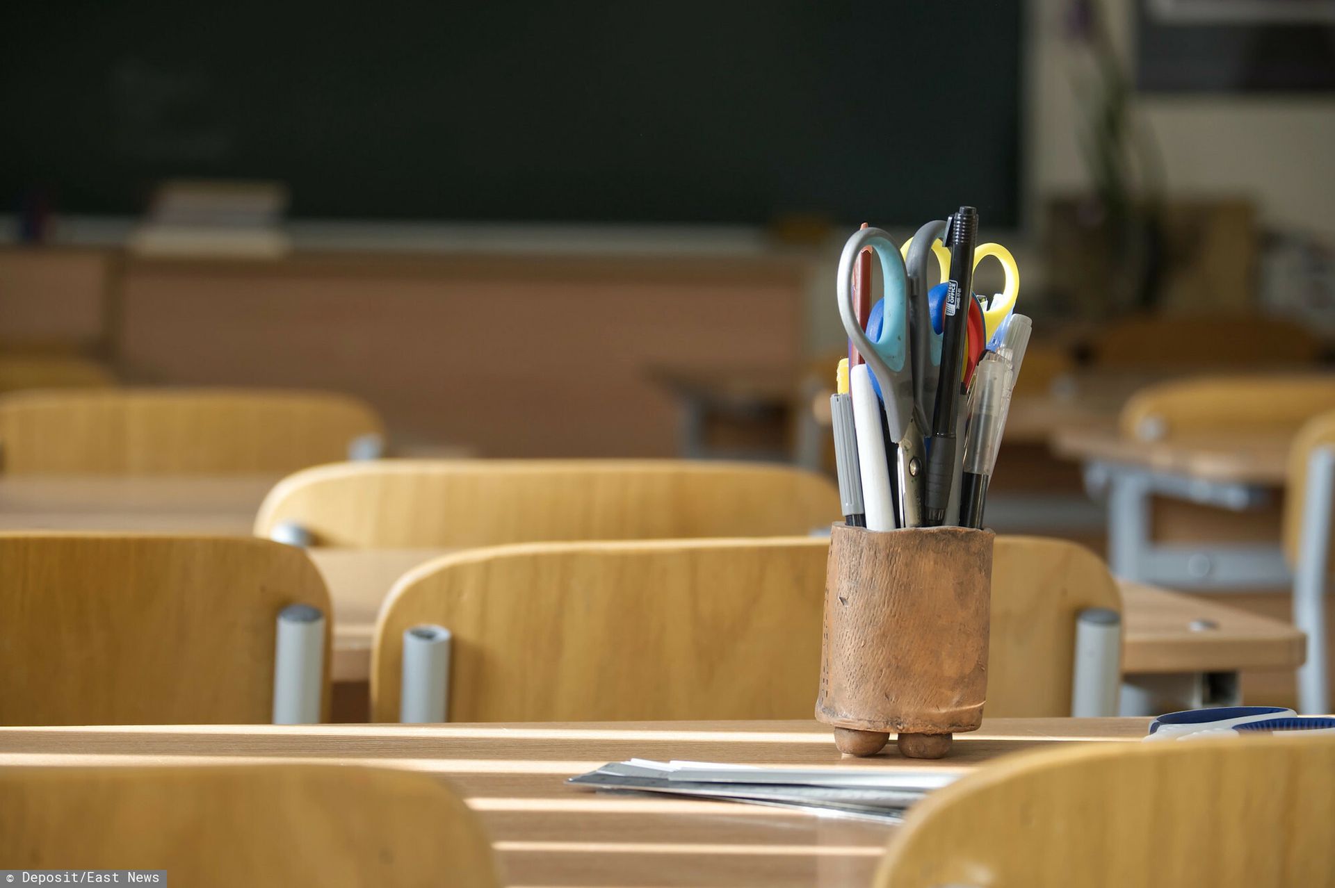 wiadomości,aktualności,WP Wiadomości Pluskwy w szkole w Warszawie. Trzeba odwołać zajęcia