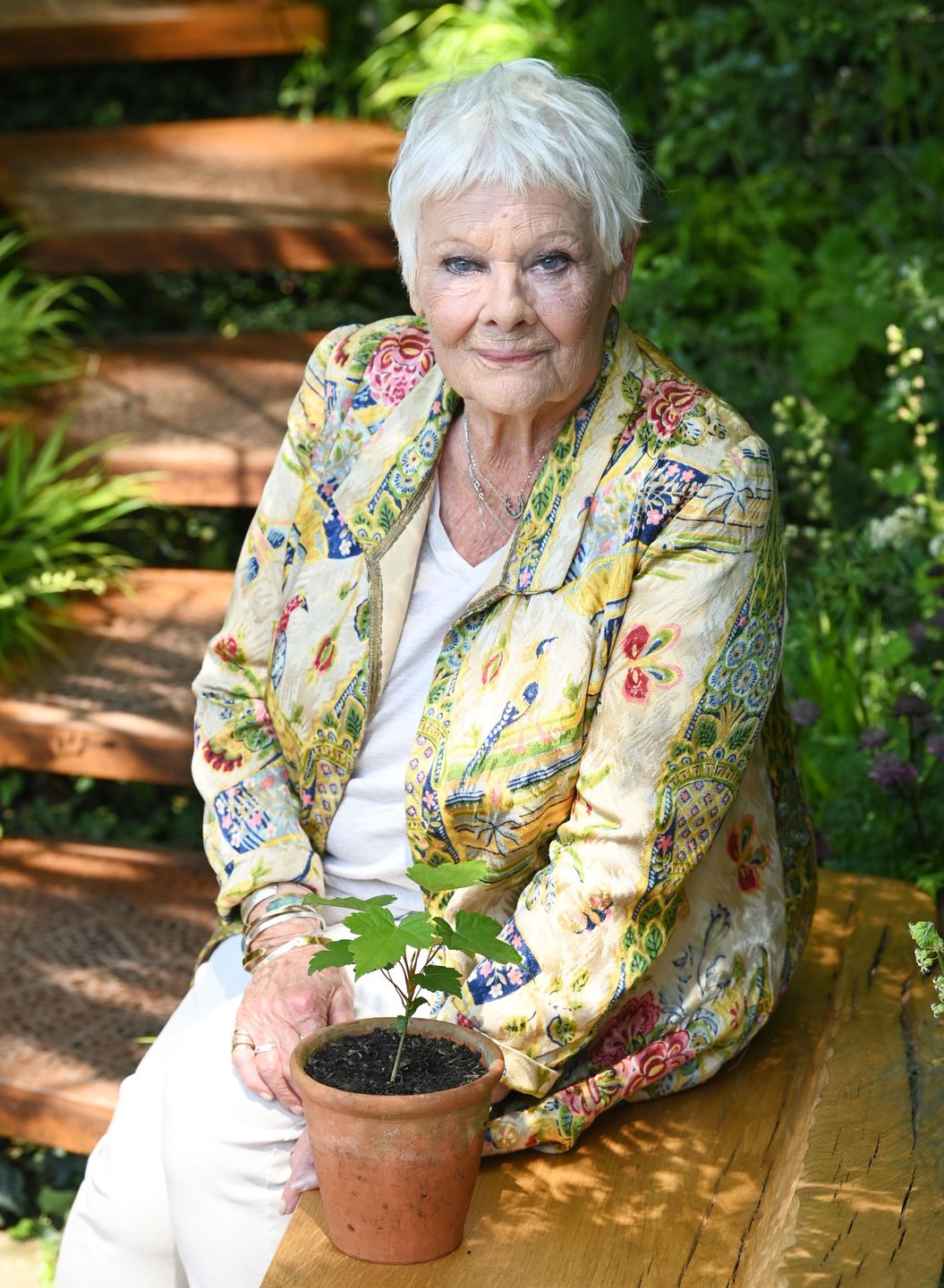 Judi Dench o swoim stanie zdrowia 