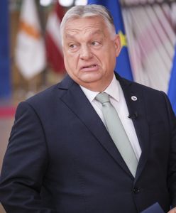 Tak rodzina Orbana dorobiła się fortuny